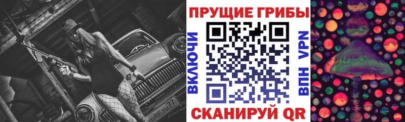 Купить закладки  Харовск  Галлюциногенные грибы мицелий 